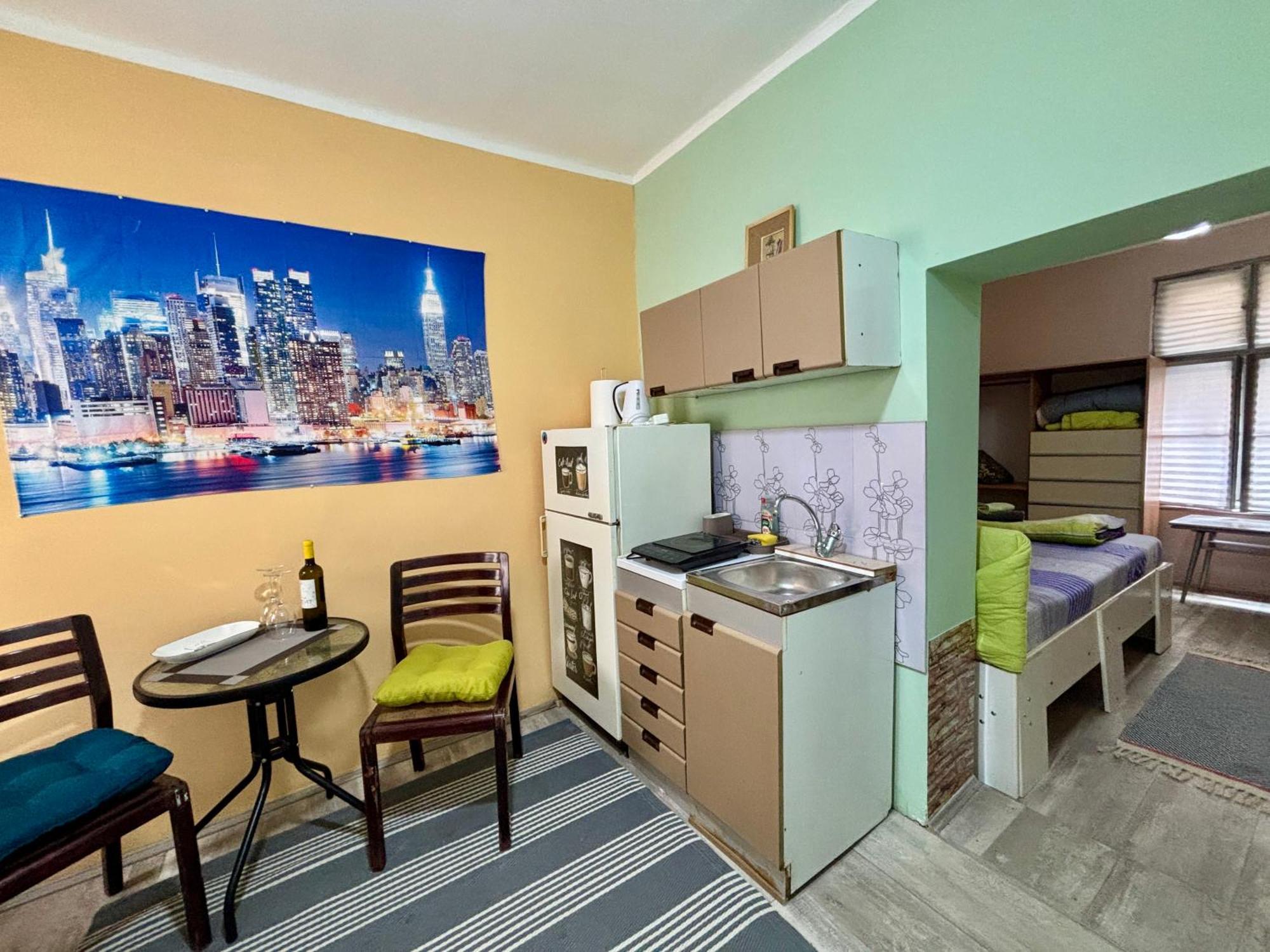Vracar Affordable Suites - Vracar Povoljni Stanovi Belgrad Zewnętrze zdjęcie